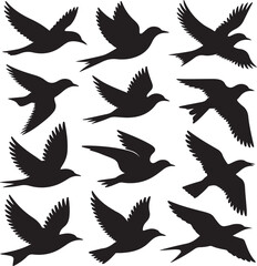 Fototapeta premium Black bird silhouettes in flight birds flying