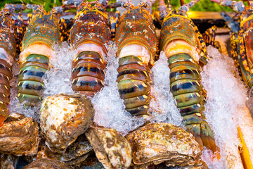 Fresh lobsters and oysters are displayed on a tray with ice at a seafood market