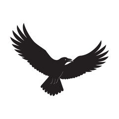 Obraz premium silhouette crow flying