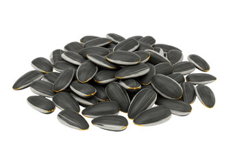 Isolated Pile of Sunflower Seeds Close-up