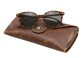 Isolated Sunglasses with Case Vintage Style