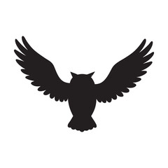 Obraz premium silhouette owl flying