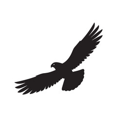 silhouette falcon flying high