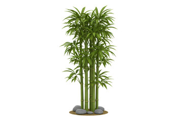 Isolated Bamboo Plant with Stones, Zen Garden Decor