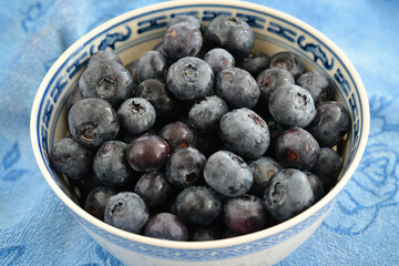 Blueberries July 14, 2025