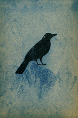 Cyanotype and a black stamp of a bird in silhouette