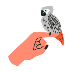 Gray parrot sits on a man's hand. Vector illustration with a bird