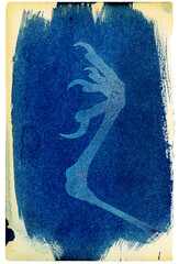 Fine art Cyanotype of a bird claw or talon on the prussian blue background