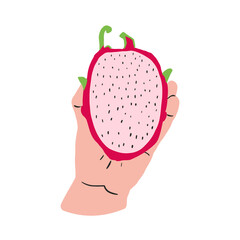 Fresh exotic fruit pitaya. Hand holding half of pitaya. Design element. Vector flat illustration.