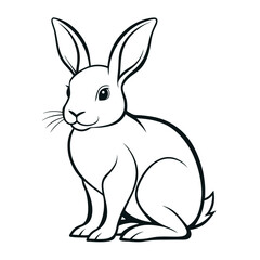 vector illustration of a rabbit