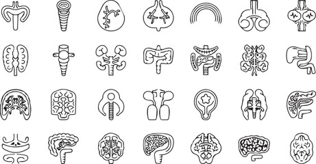 Various line drawings depicting human organs in a grid pattern on a white background illustration