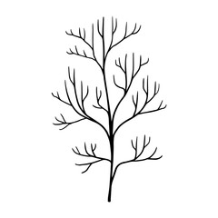 a hand-drawn sketch twig with branches without leaves