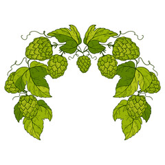 a green wreath of brewing hops. background with space for text