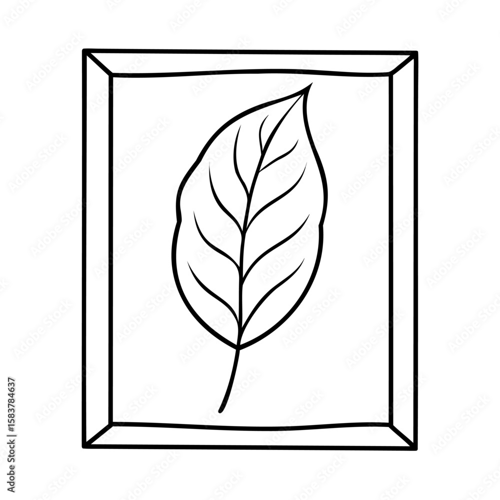 Poster outline leaf within a rectangular frame on a rectangle nature