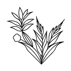 Obraz premium Line art stylized floral elements on a flower leaf