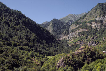 Mountain ridges covered in trees, under a bright summer sky. 