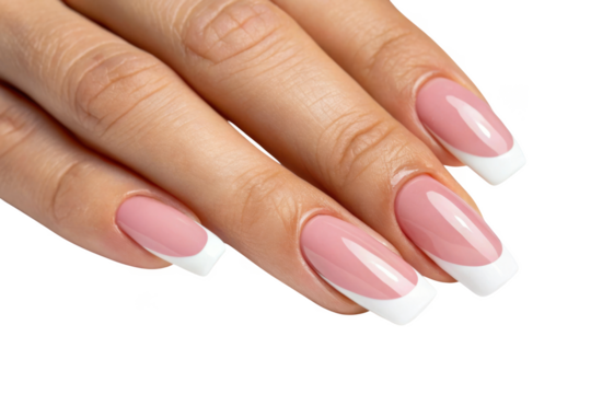 Elegant french manicure with pink base and white tips on a woman s hand isolated on transparent background