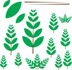 Green Leaf Branches and Botanical Elements Flat Vector Illustration