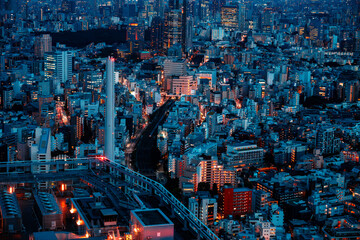 Fototapeta premium Tokyo night 6