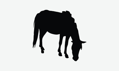 Horses Silhouette Bundle, Illustration written vector t-shirt design, Calligraphy graphic design. 