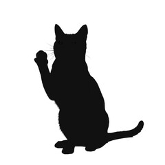 Obraz premium Silhouette of a cat sitting with its paw raised up high