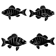 Four stylized black fish silhouettes with detailed fins and striped bodies on a white background