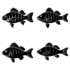 Four black and white fish illustrations arranged in a square pattern on a white background image design