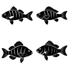 Four black and white fish illustrations swimming in different directions on a white background design vector