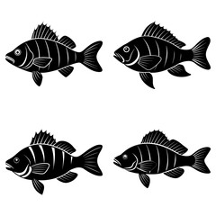 Four stylized black and white fish illustrations with detailed fins and striped bodies swimming together