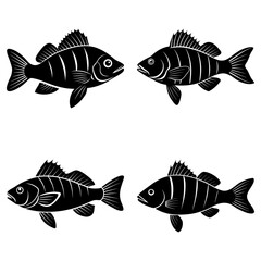 Four black and white stylized perch fish with stripes swimming in different directions on a white background