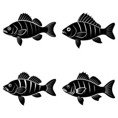 Four stylized black fish with striped bodies swimming in different directions on a white background