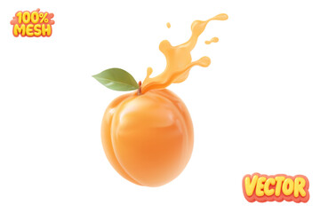 Vector apricot with juice splash isolated on white background.