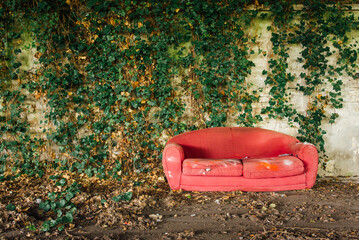 un vieux canapé rouge abandonné devant un mur végétal. Urbex. Squat sans squatteur. Mur de...