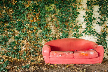 un vieux canapé rouge abandonné devant un mur végétal. Urbex. Squat sans squatteur. Mur de...