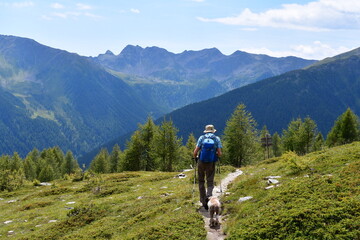 Fototapeta premium Mann und sein Lagotto Romagnolo Hund wandern im Ultental in Südtirol 