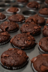 Close-Up of Chocolate Muffins in Baking Tray