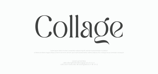 Elegant Font, college, Uppercase Lowercase and Number. wedding font, Classic Lettering Minimal Fashion Designs. Typography modern serif fonts regular decorative vintage concept. vector illustration
