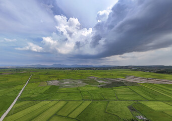 Aerial view of a patchwork of vibrant green fields stretches under a dramatic sky, where billowing clouds cast shadows over the landscape, Kon Tum, Kon Tum, Vietnam.