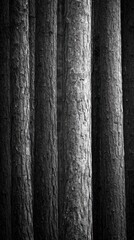 Fototapeta premium Close-up view of dark gray tree trunks