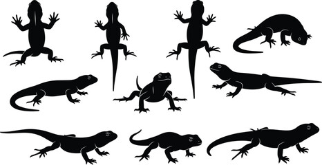 Silhouette set of lizards in various poses, isolated reptile vector illustrations for wildlife design, nature themes, and biology education