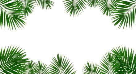 Tropical Harmony: Symmetrical Palm Fronds for Fresh, Professional Design

