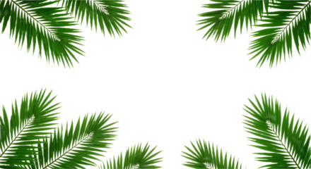 Tropical Harmony: Symmetrical Palm Fronds for Fresh, Professional Design

