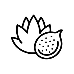 Exotic Dragon Fruit Slice Illustration Fresh Food Icon, Tropical Fruit Cut in Half With Seeds and Leafy Flower Outline, Organic Eating and Healthy Food Ingredient