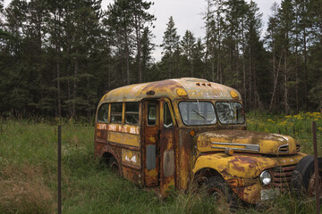 old bus in the middle of the woods 