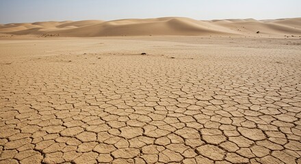 Dry Cracked Desert Landscape with Sand Dunes Under Clear Sky