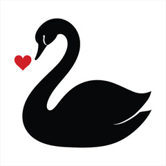 black swan on a white background