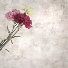square stylish old textured paper background with hybrid carnation flowers 