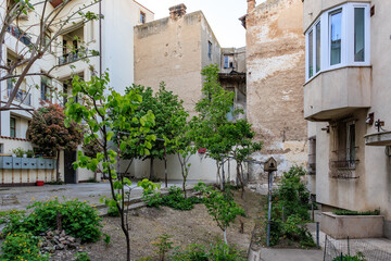 Urban courtyard with plants and historic buildings in a residential area
