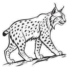 detailed bobcat illustration in vector style clea