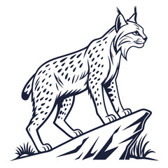 detailed bobcat illustration in vector style clea